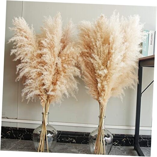 40″ inch Stems Natural Pampas Grass Decor Tall, pompas Grass, Tall Pampas 10