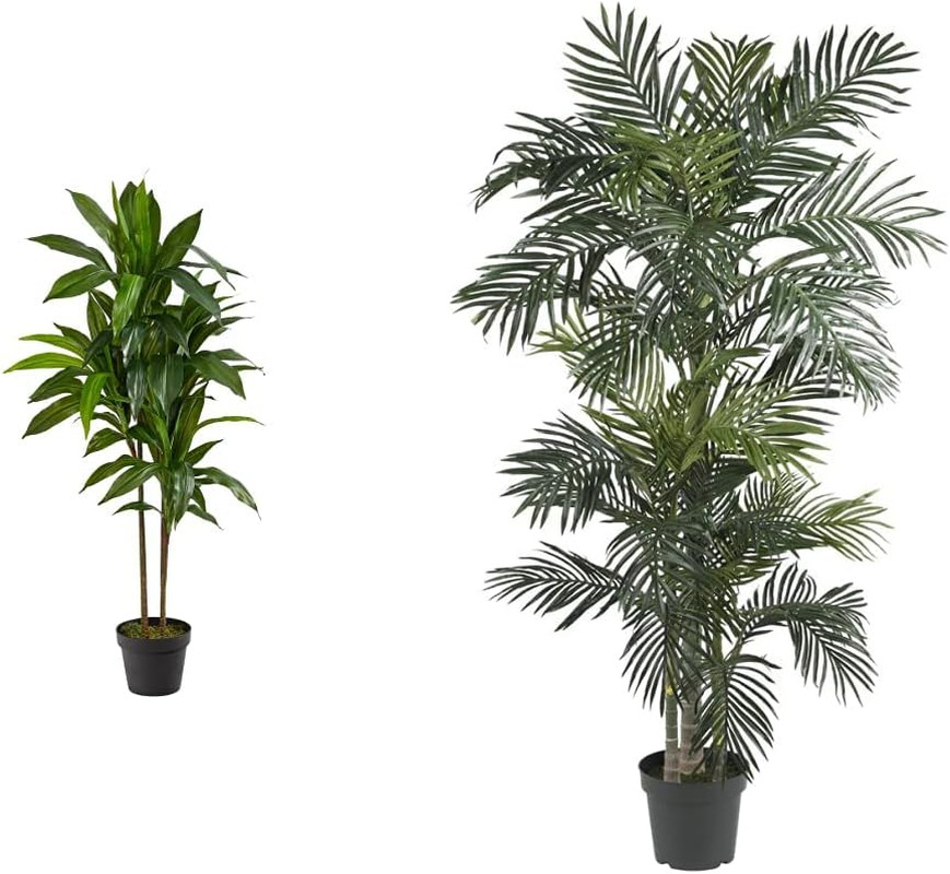 48″ Dracaena Silk Plant & 6.5Ft Golden Cane Palm Tree – Real Touch Green Decor
