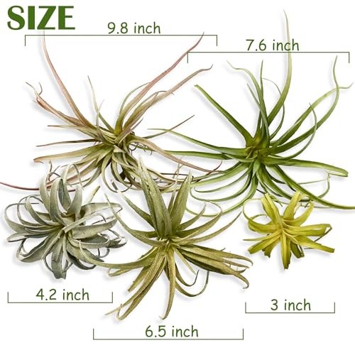 Large Green Real Touch Faux Air Plants, Lifelike Fake Tillandsia Mix Size
