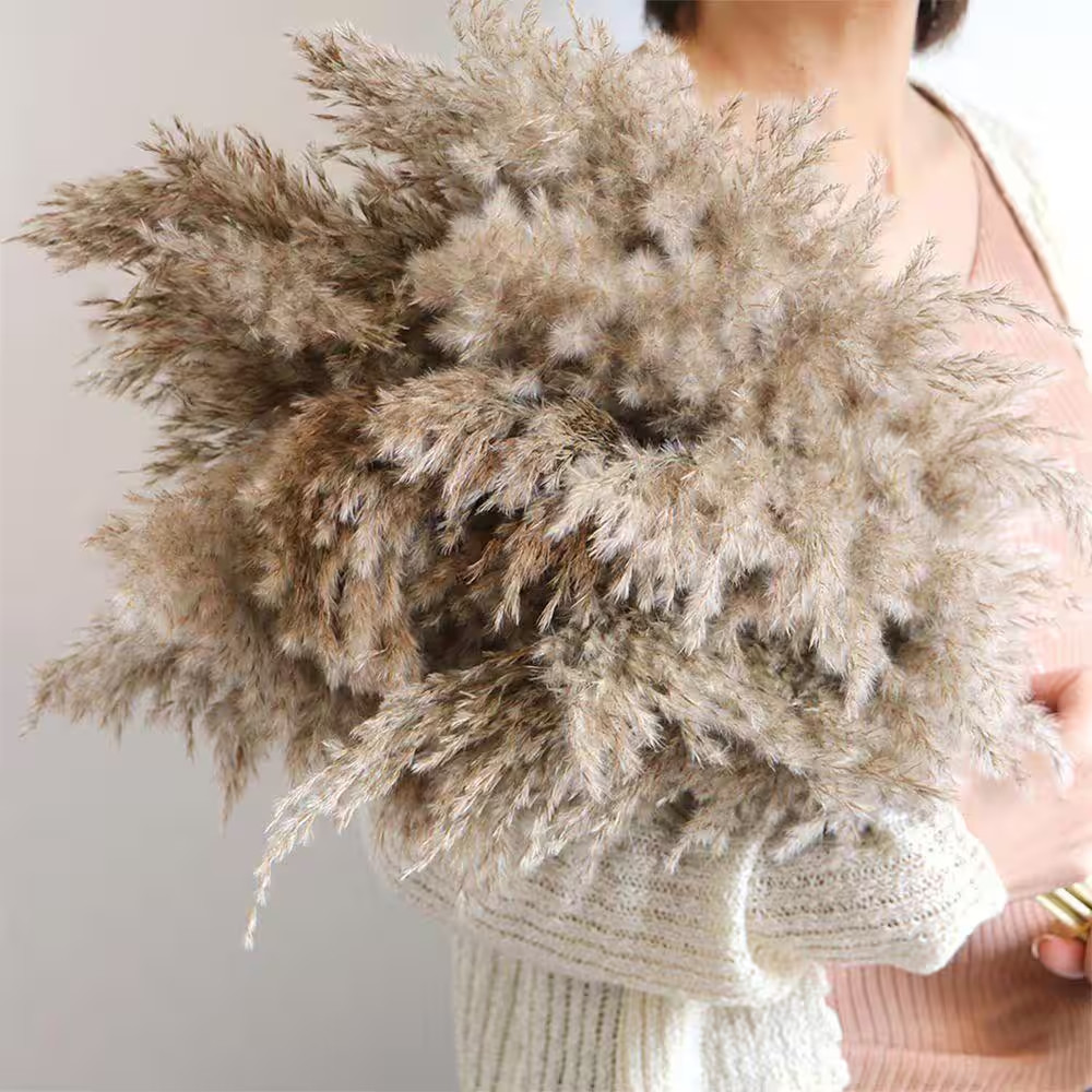 0 in Boho Brown Pampas Grass Artificial Plant 17.7 In. Brown Color Family 30 Pcs