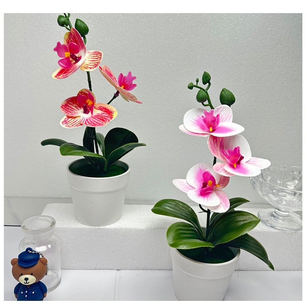Modern Minimalist Phalaenopsis Orchid Bonsai Potted Plant for Tabletop Use