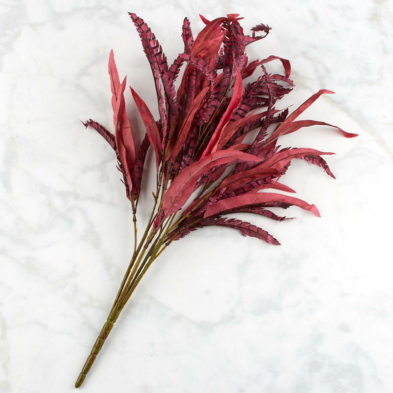 Red and Purple Feather Bush