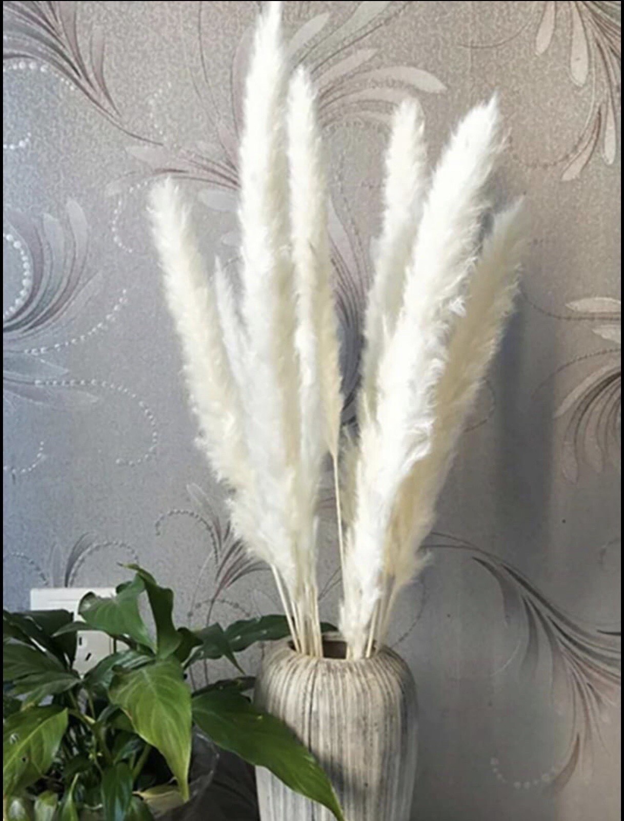 15PCS Natural Dried Pampas Grass 24 In. Reed Flower Wedding Bouquet Home Decors