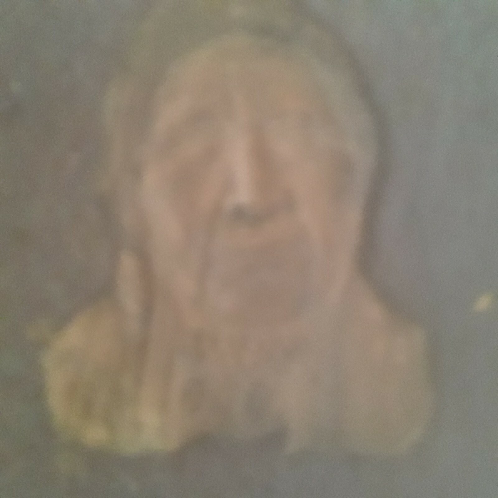 Home Decor Indian Heads $25/each both for $40.00