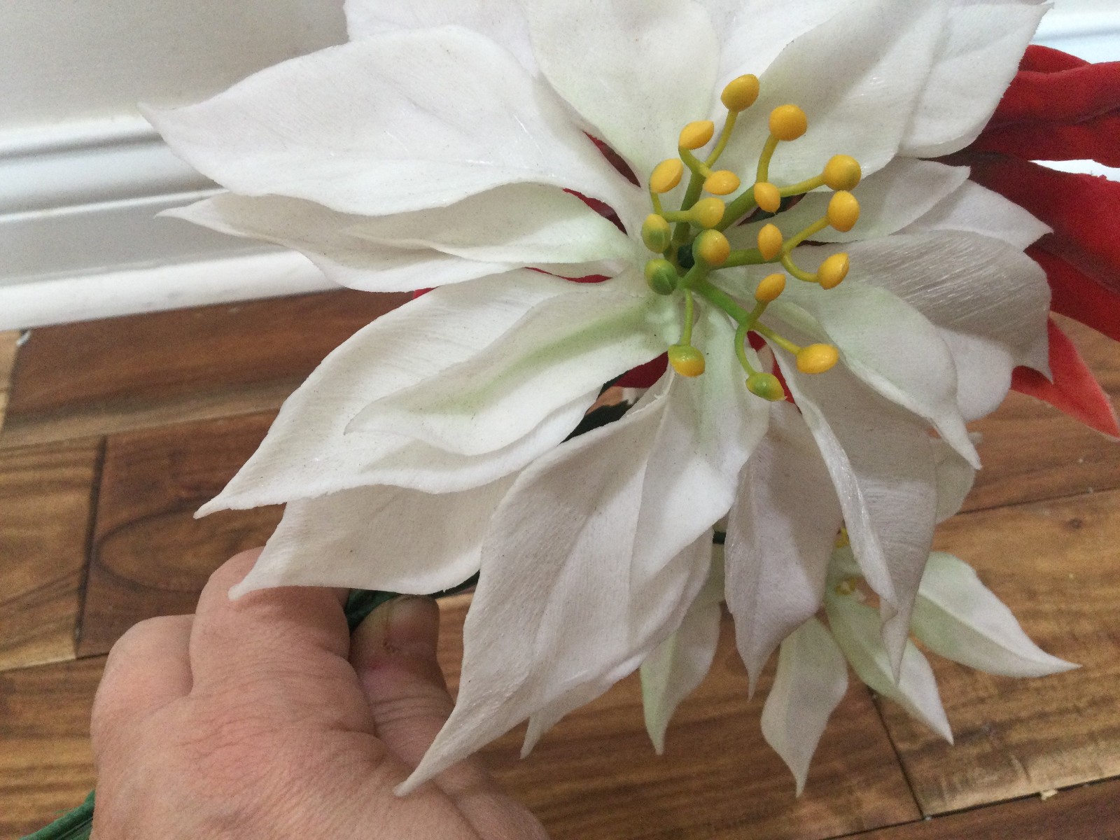 set 3 + extra ’60 Poly Plastic Hong Kong poinsetia large 6” bloom 11”length