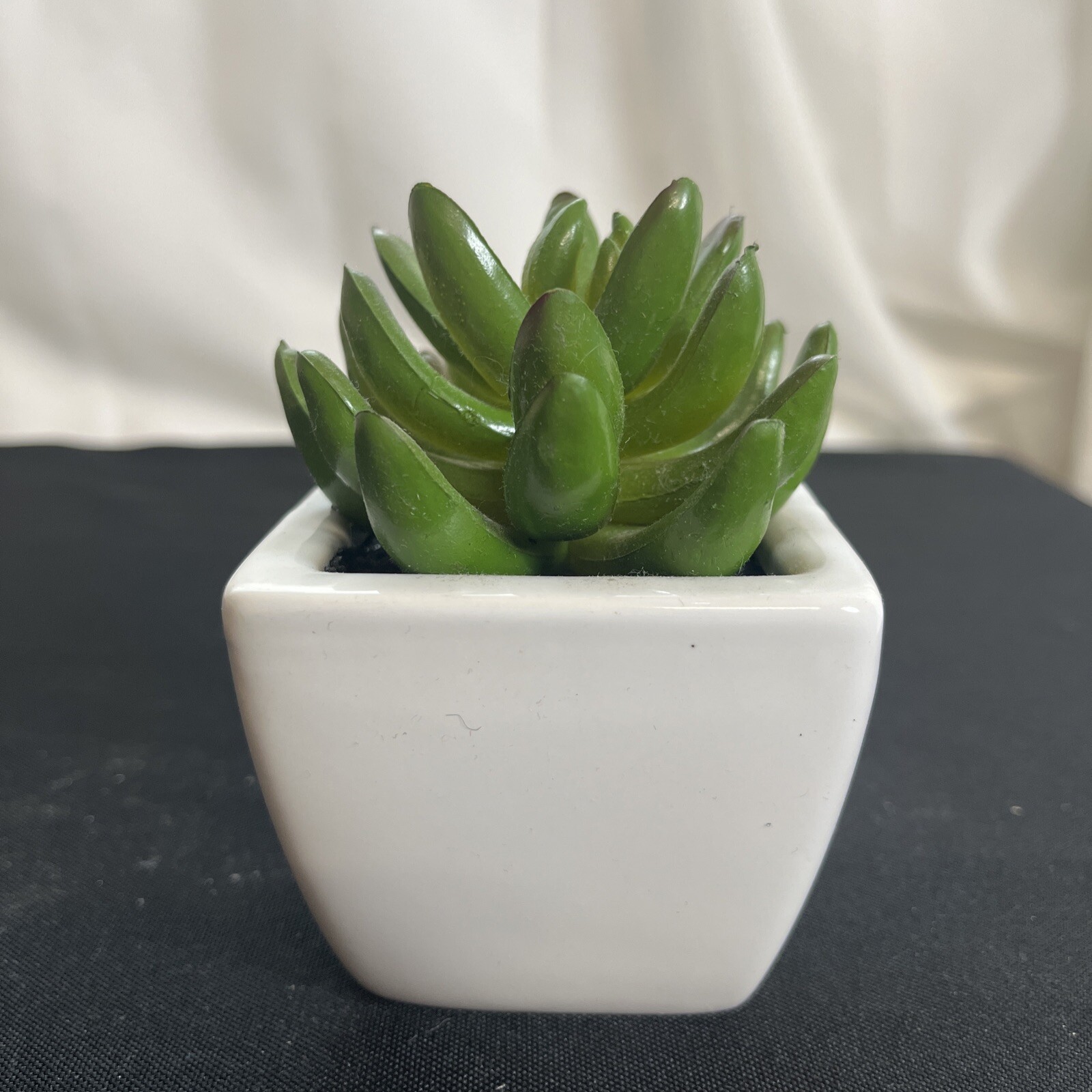 Decorated Brand Small Faux Succulent Plant White Ceramic Pot