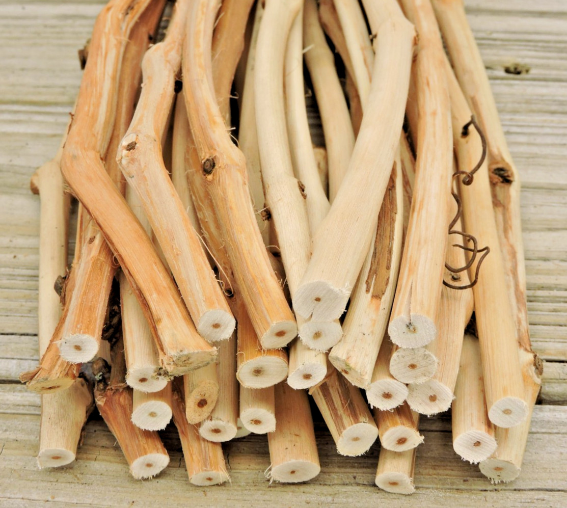 30 Grapevine Wood Stick Section 5/16~7/16″D 10~12″L Driftwood Decor Crafts