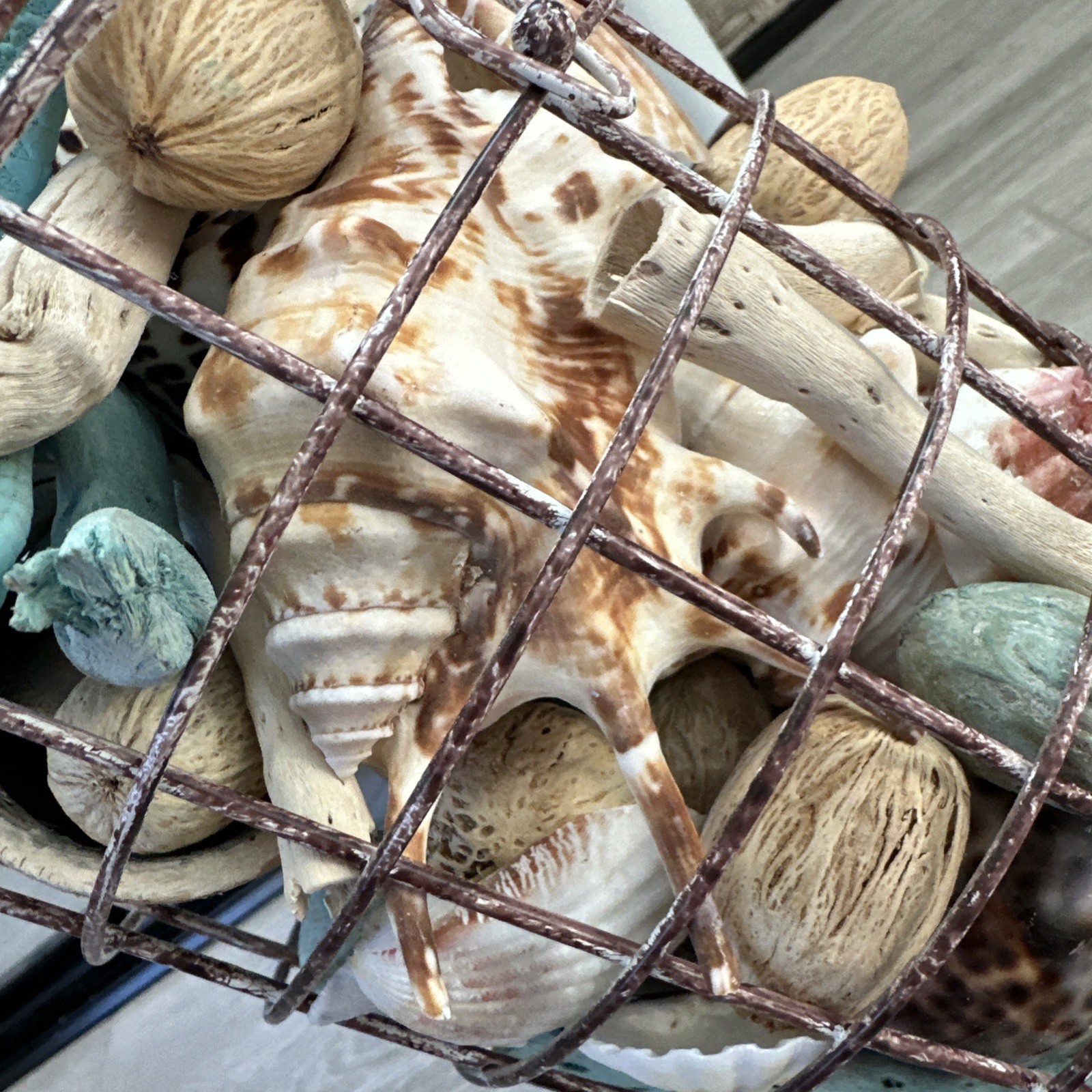 Beach Decore, Decorative Cage With Real Shells And Dried Ocean Plants Theme