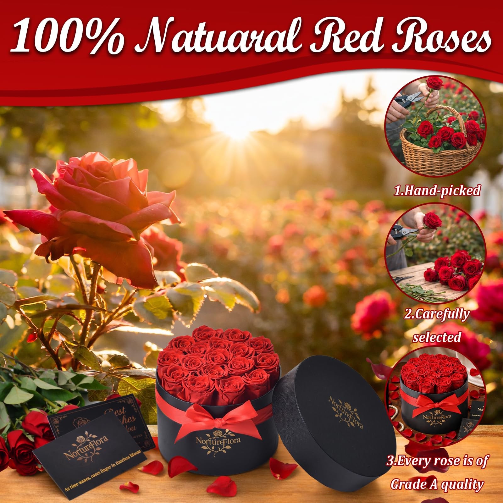 17 PCS Forever Preserved Red Roses Gift Real Flowers In Box Anniversary Her