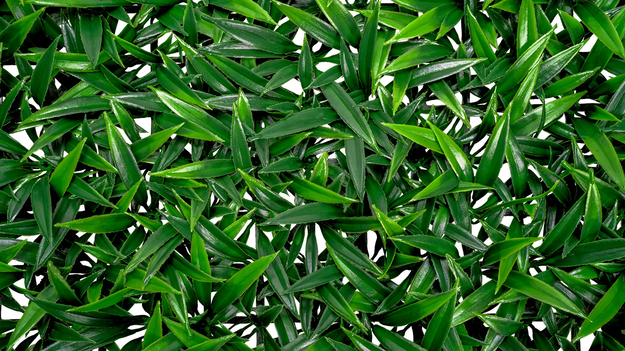 Emerald Artificial Greenery – Artificial Ivy Panel (Box) Sungrass