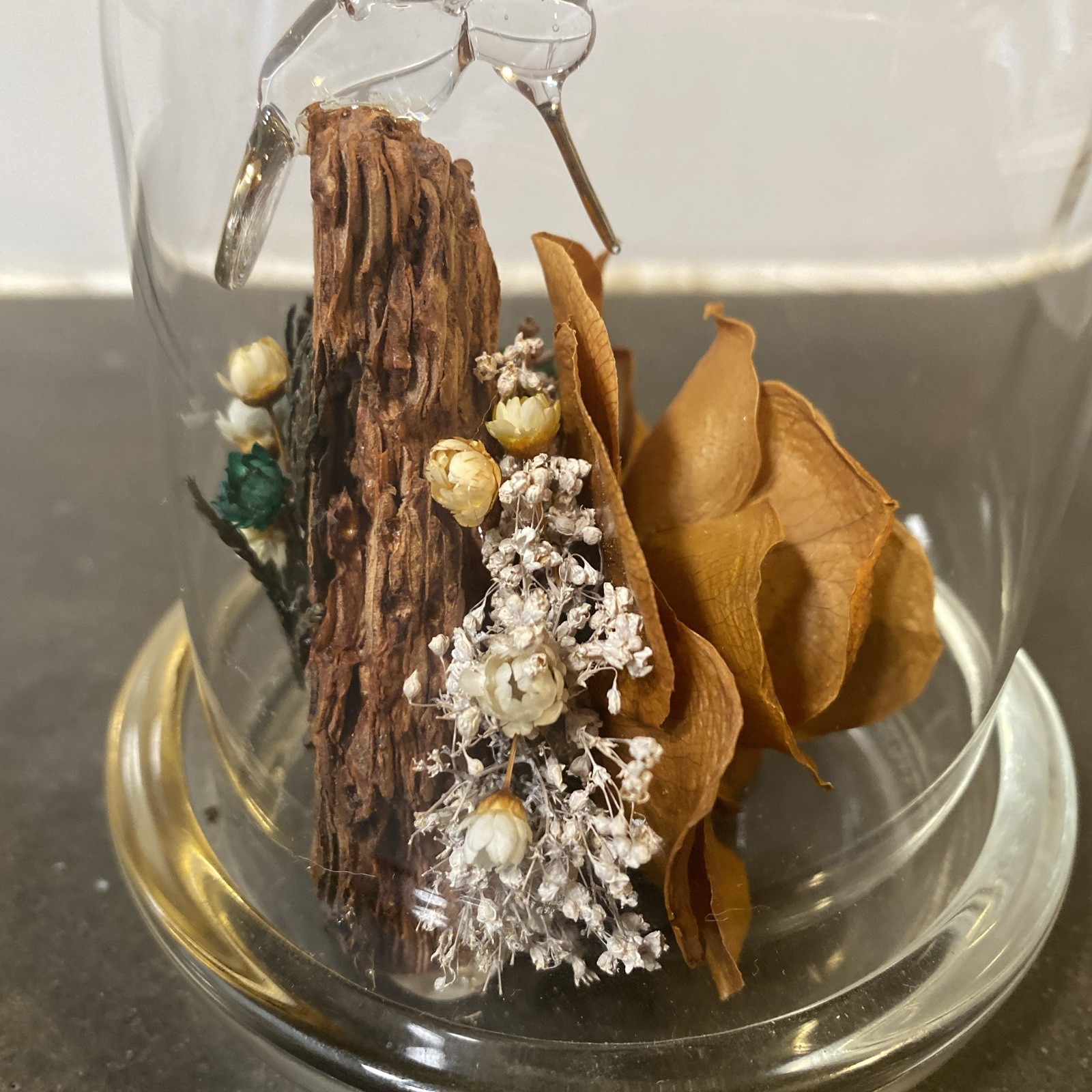 Colorado Naturals Dried Rose Floral Glass Dome Display with Glass Humming Bird