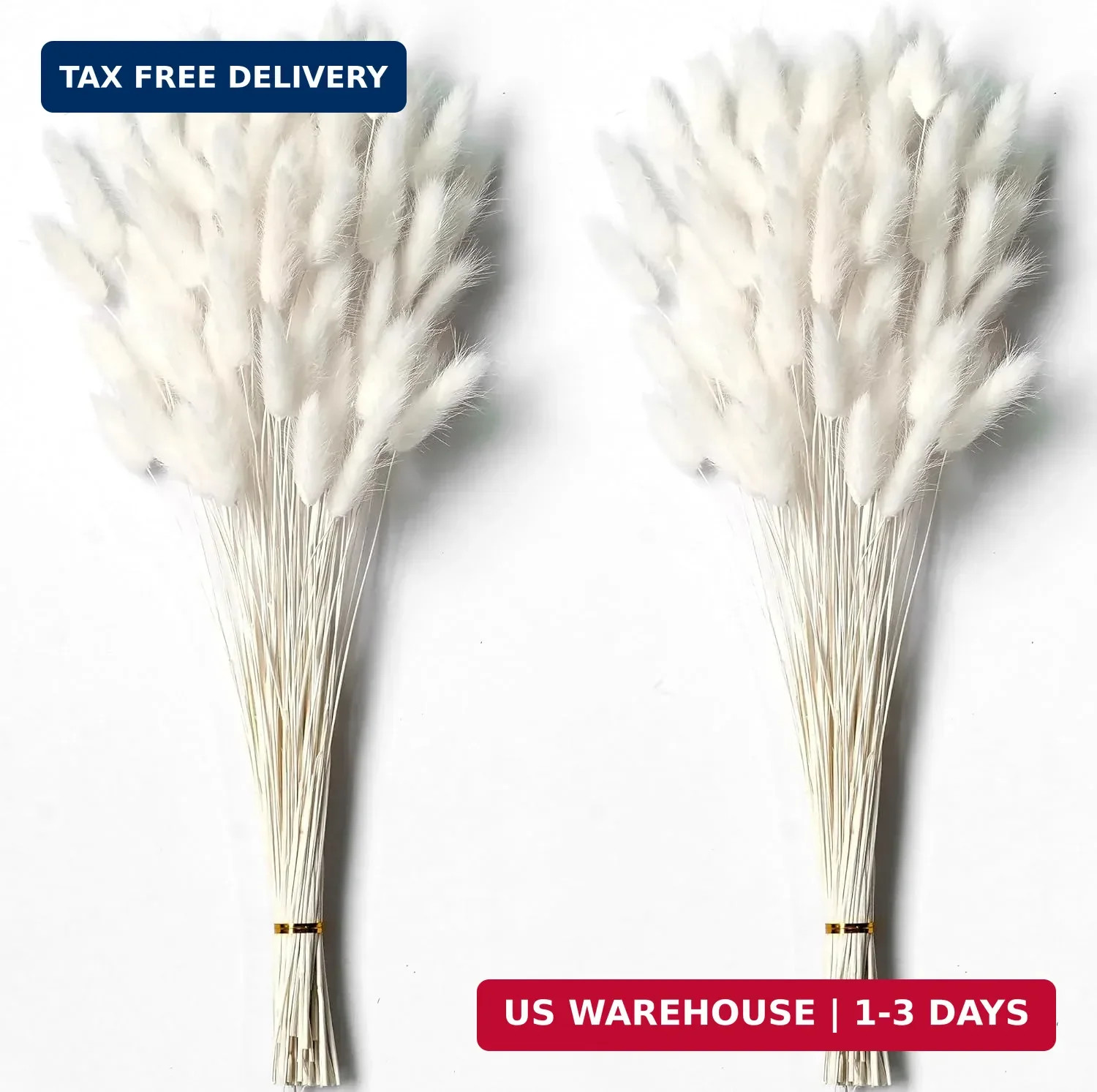 120 PCS White Dried Pampas Grass Decor, 17-inch Pompas Floral, Dry Flowers for D