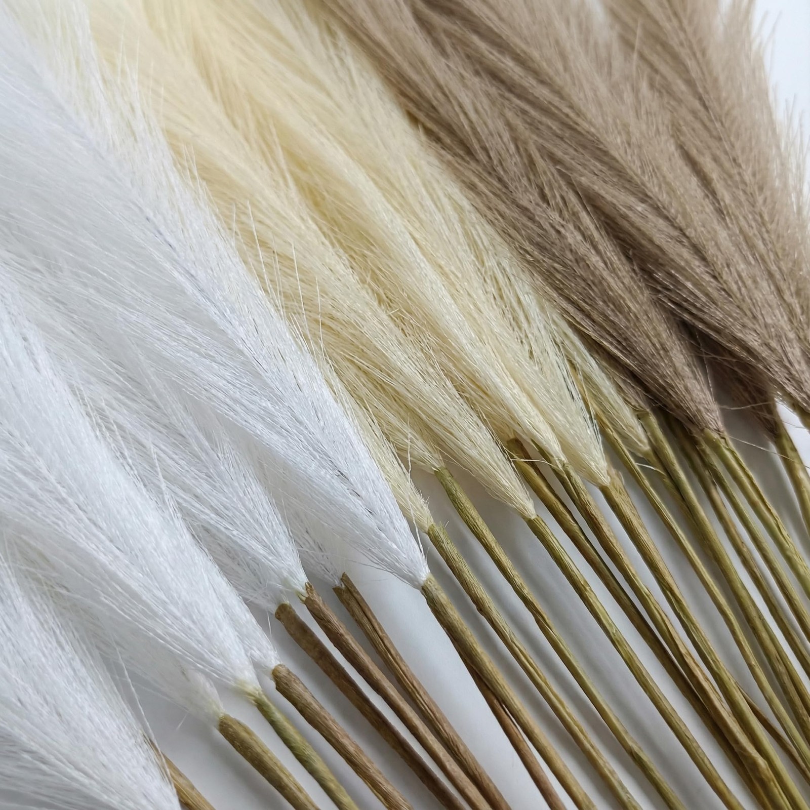 Cong He Pampas Grass Decor 21.7 Inch White Beige Brown, Brown