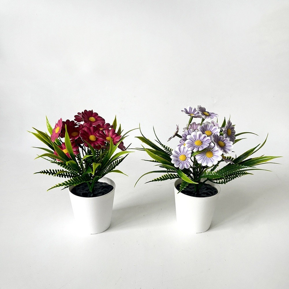 Indoor Chrysanthemum Bonsai Style Plant for Desk Nightstand Table Decor