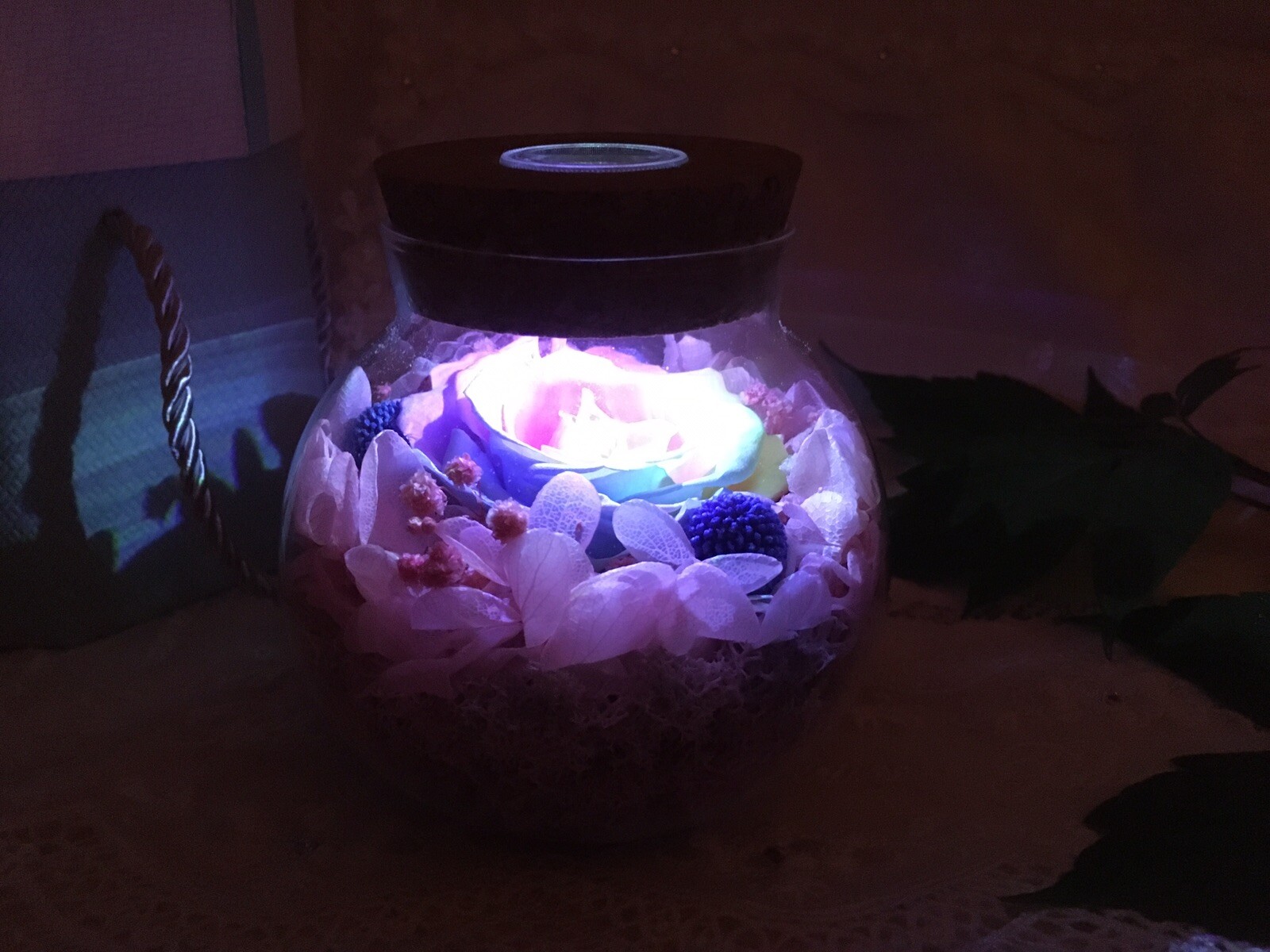 Sanran Forever Eternal Real Preserved Rose With Led Mood Light Valentine Gift