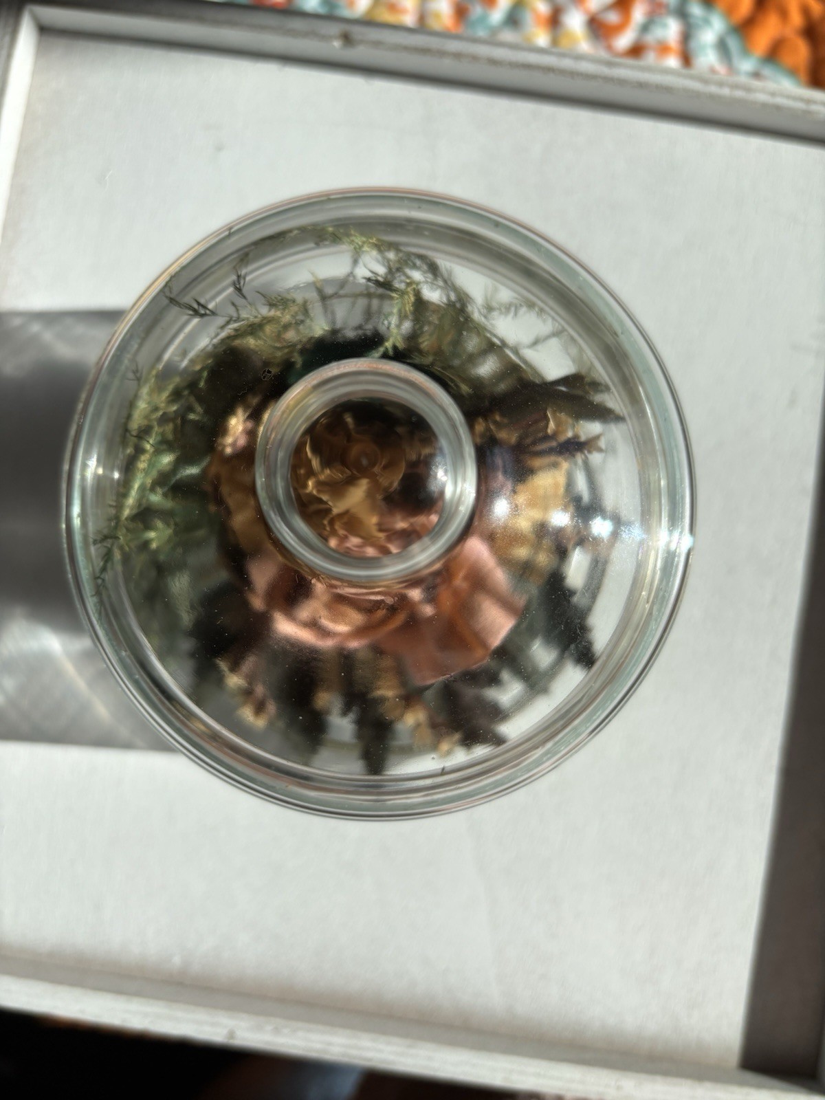 Natural Expressions Freeze-Dried Rose Arrangement in Glass Jar, Peach Green