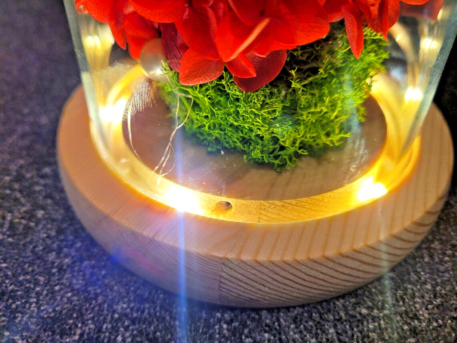 Flower Decoration Glass Cover Wooden Base Valentine’s Day Gift for Girlfriend’