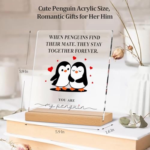 Mens Valentines Day Gifts for Him Her: Romantic Acrylic Plaque with Stand for