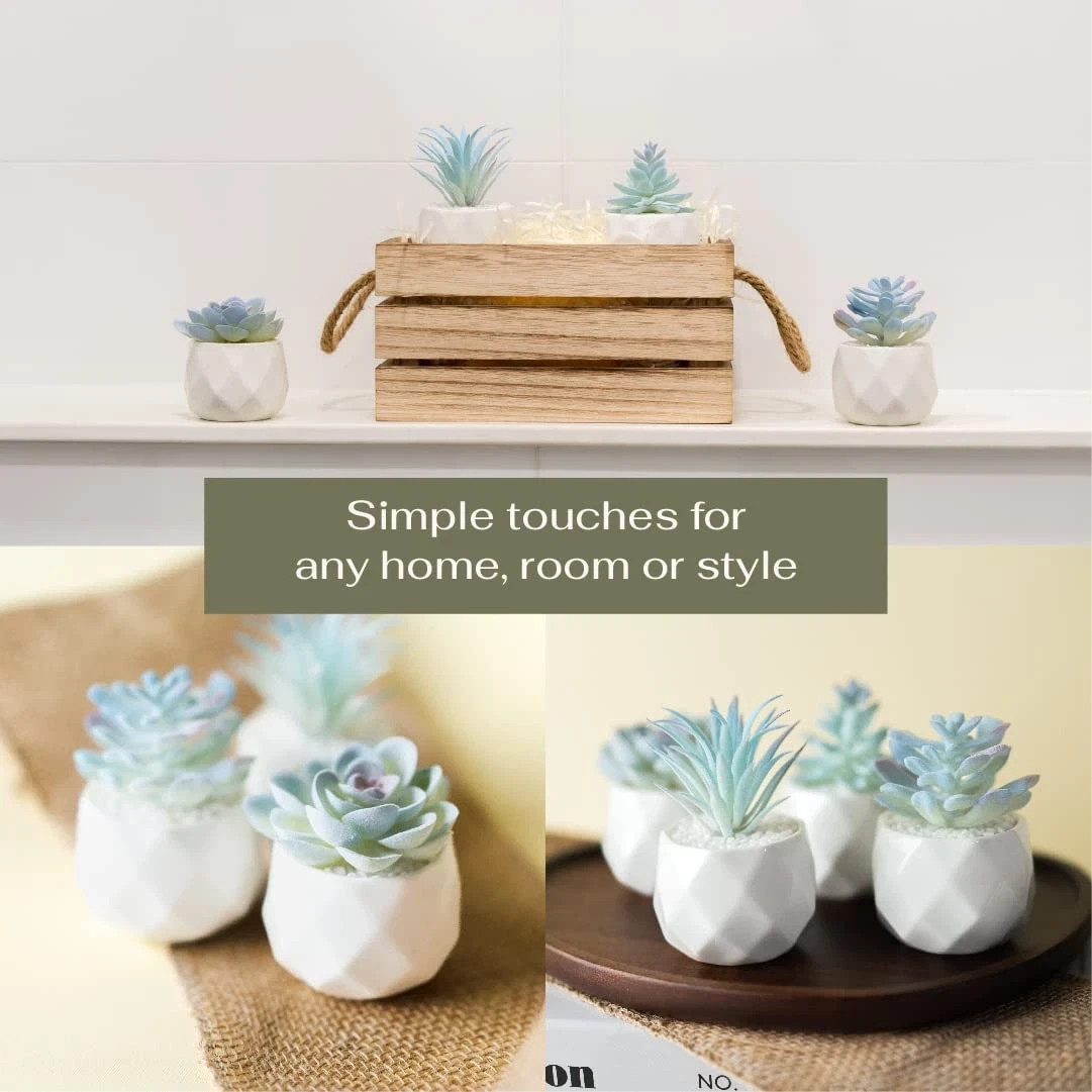 VIVERIE 4-Pack Mini Artificial Succulents ~ Blue Plants w/White Ceramic Pots NEW