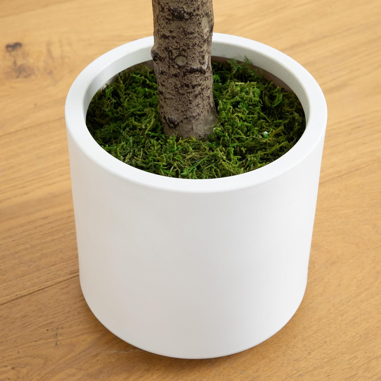 6Ft Jacaranda Artificial Tree in White Decorative Planter – Bendable Branches