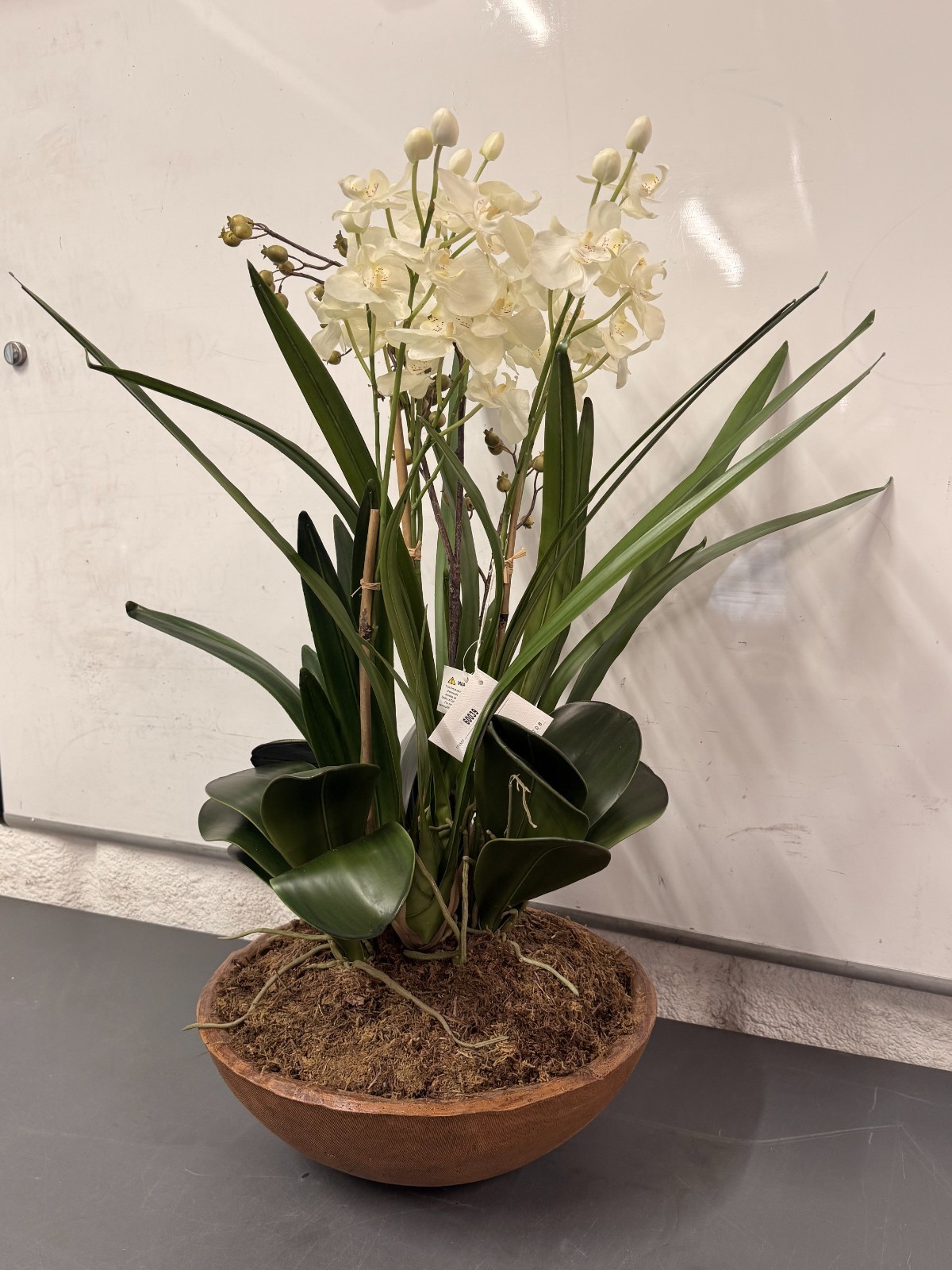 Uttermost Hand-Painted Garden of Moth Orchid Planter, Natural Brown Dish # 60039