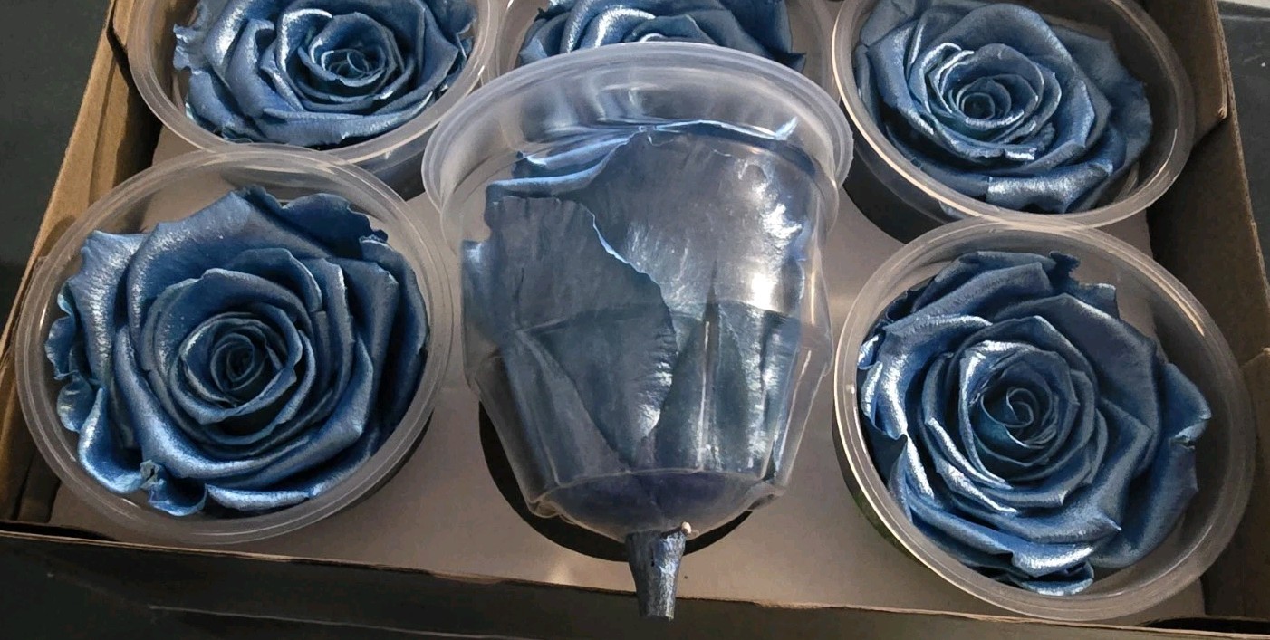 Preserved Roses Forever Roses 6 Pack Metallic Blue XL Ecuador