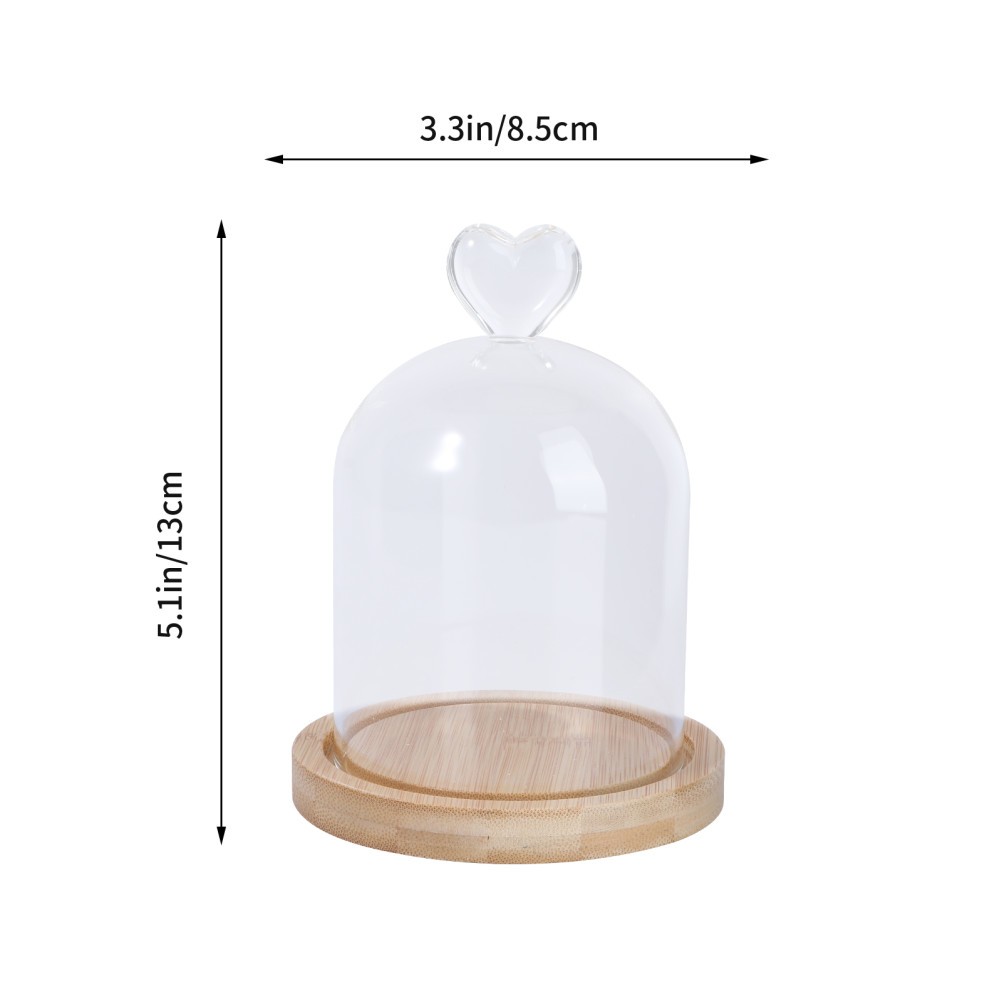 Small Cloche Glass Dome Mini with Base Dried Flower Container Display Cover