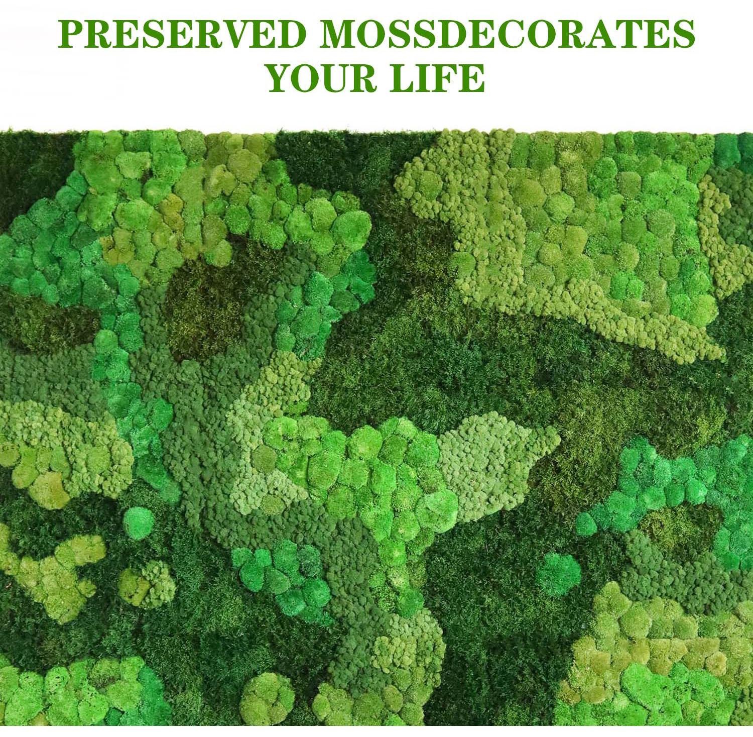 Artificial Green Moss, Eternal Life DIY Grass for Home, Garden & Mini Landscape