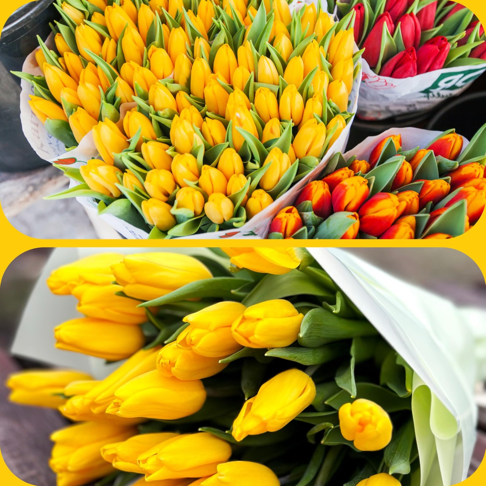 30 Pcs Fake Tulips Artificial Flowers Real Touch PU Faux Flowers Tulip Stems …
