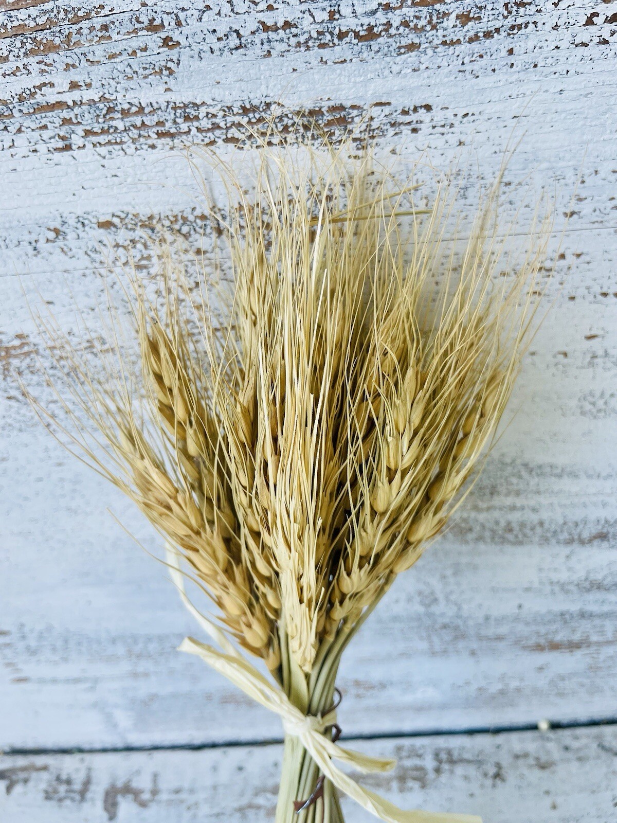 Wheat Bundle Bouquet