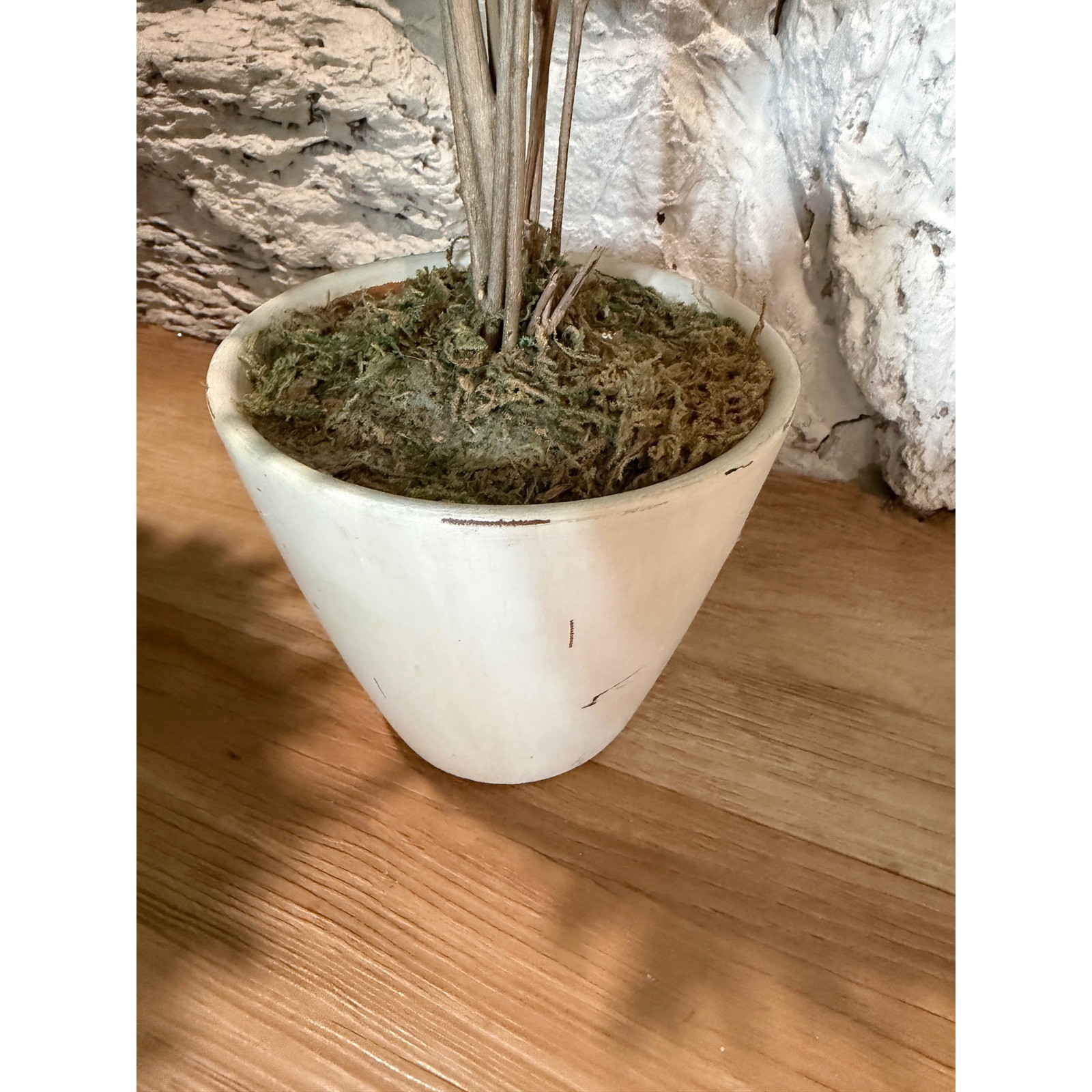 Set of 2 Artificial Olive Topiary Trees in Distressed White Pots 20 Inch Green