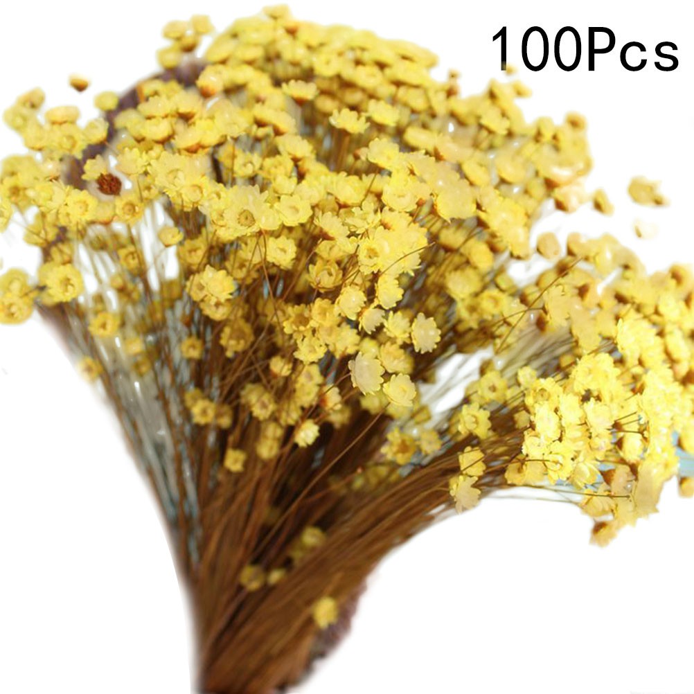 100Pcs Handmade Small Star Flower Dried Flowers Mini Daisy Yellow Floral Display