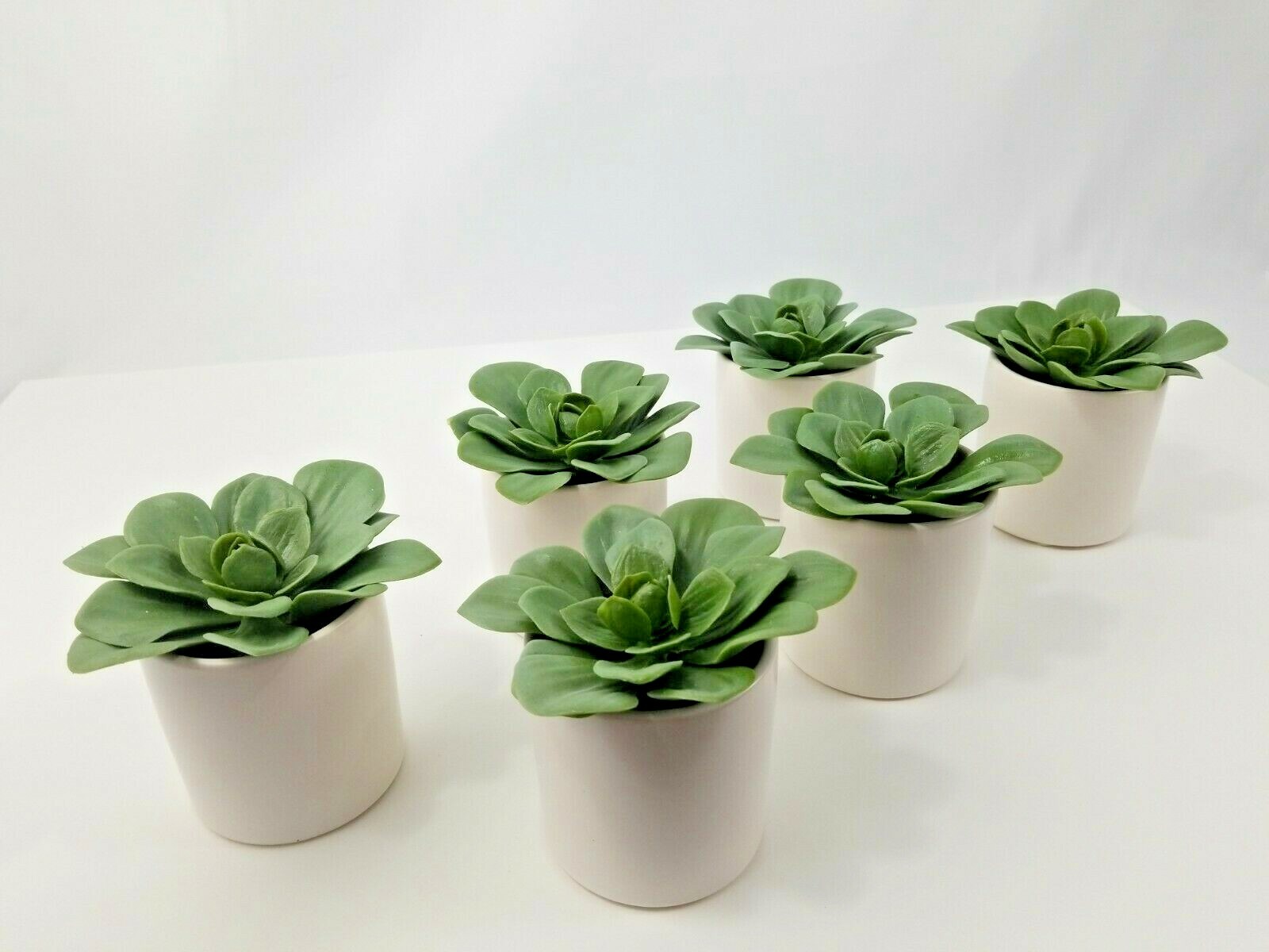 Artificial Dudleya Succulent by Project 62 In White Pot 4.5″ x 4″- LOT OF 6 New