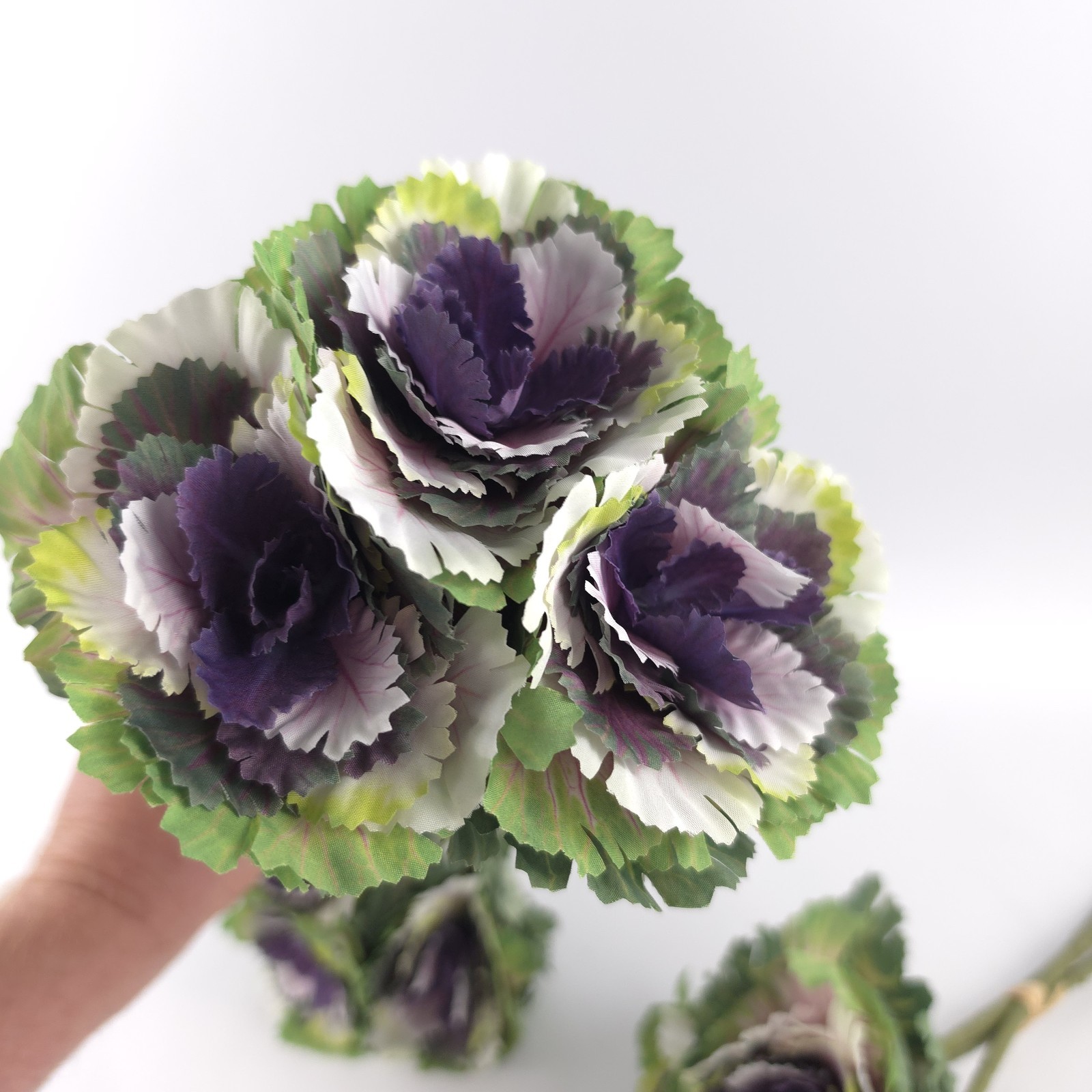 Simply Stunning Set of 3 Cabbage Stems by Janine Graff Purple