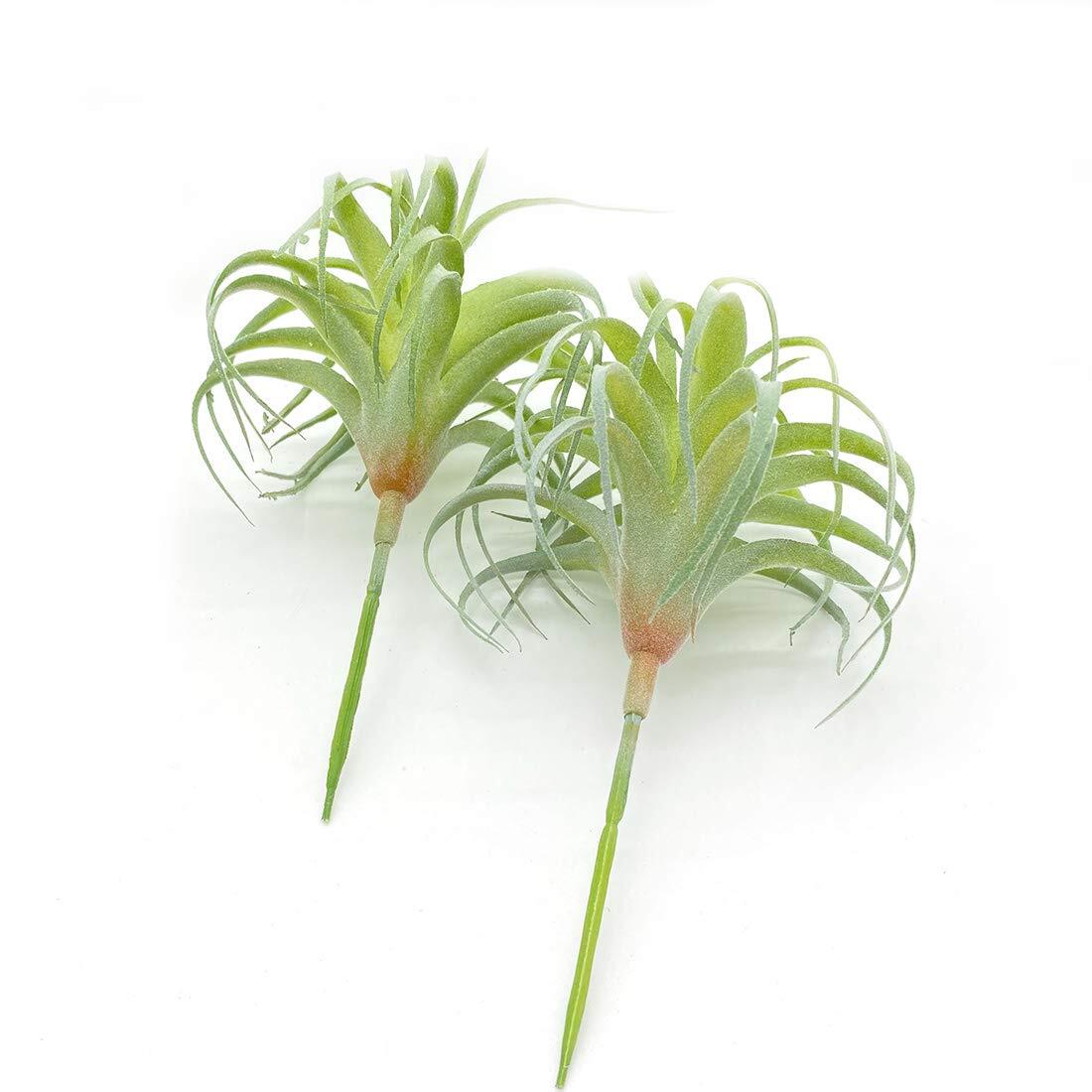 4 Pack Artificial Air Plants Flocked Tillandsia Bromeliads Terrarium Decor