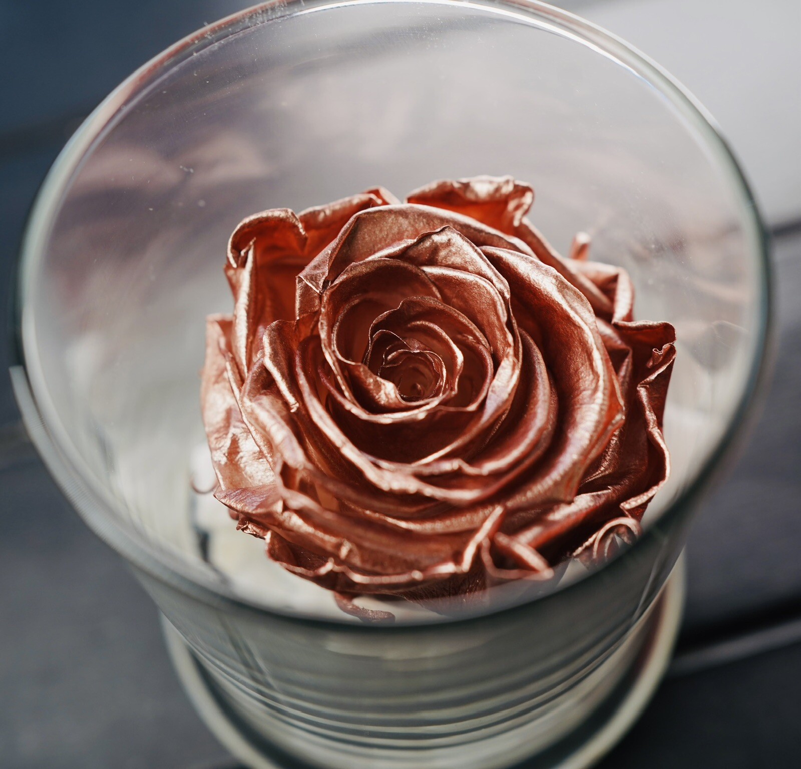Real Rose Gift in Glass Jar Base White Stones Metallic Rose Gold Gift For Gf