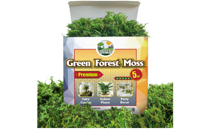 Artificial Moss Potted Plants Decorative Crafts Green Table Piece Wedding Party