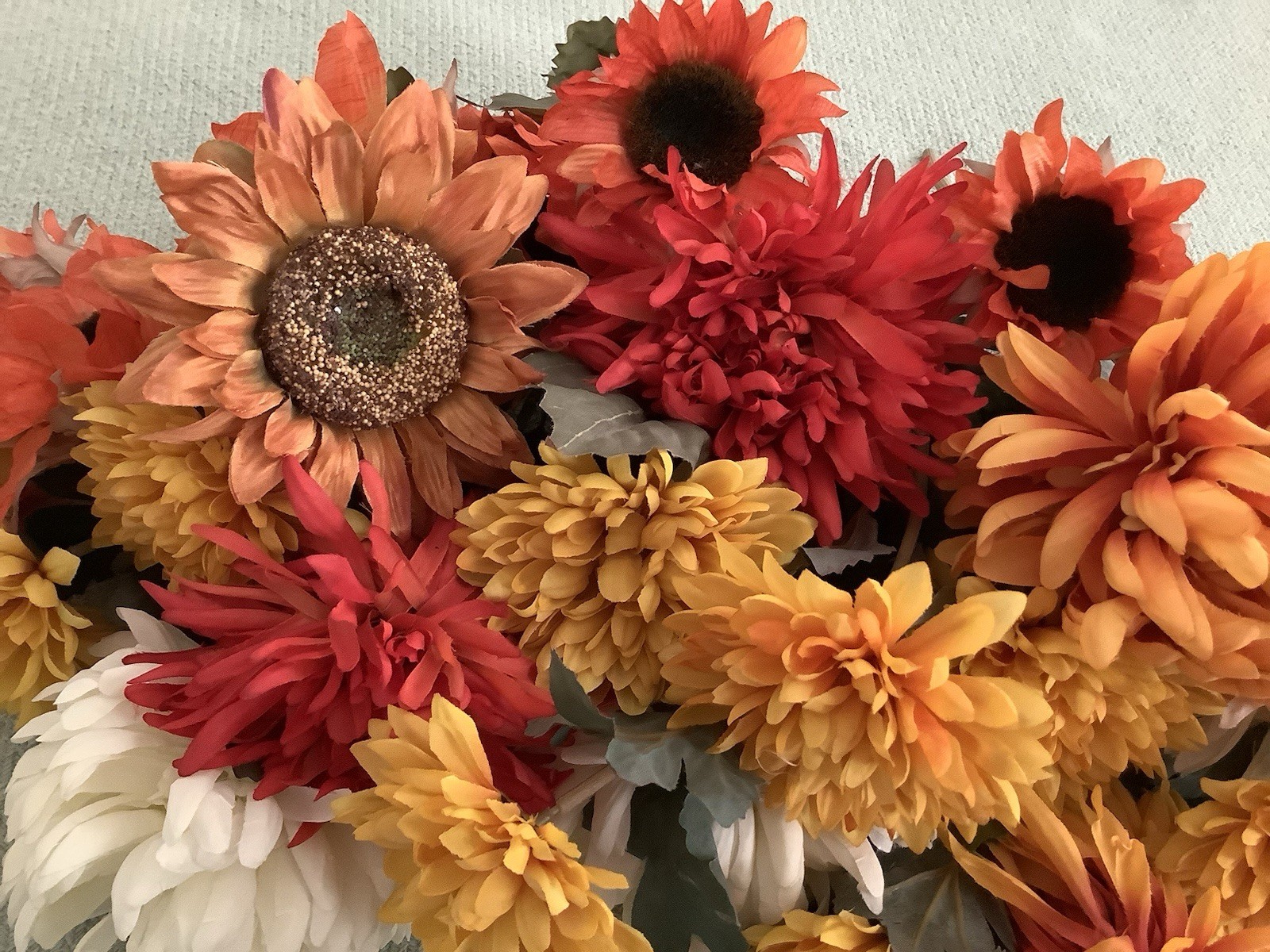 Silk Daisy’s