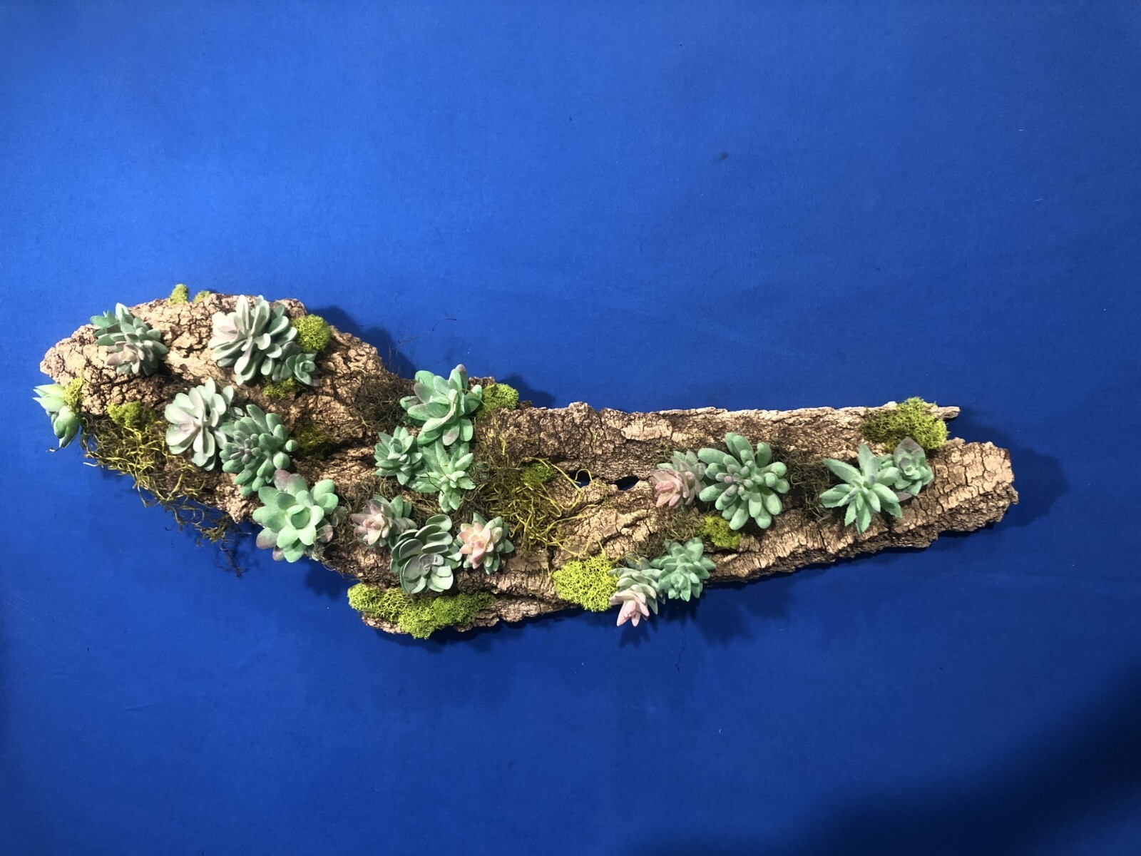 Artificial Succulent Air Plant Wall Art Home Office Mounted on Real Wood Bark