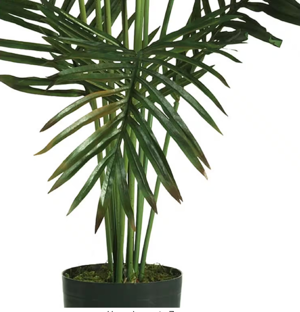 Nearly Natural Paradise Palm Silk Tree Artificial 5 ft. H High-Quality Plastic