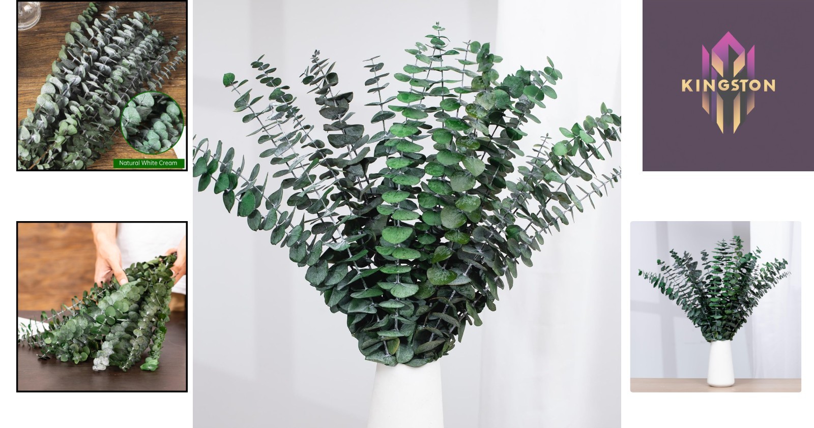 Natural Preserved Eucalyptus Stems – Serenity for Showers & Occasions
