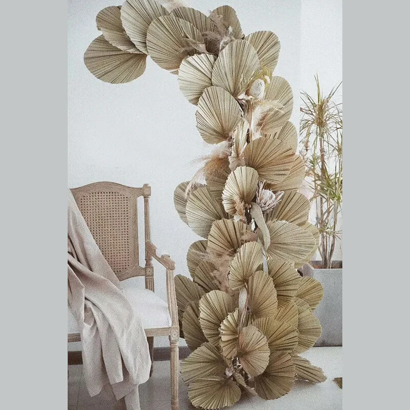Dried Natural Plant Palm leaves