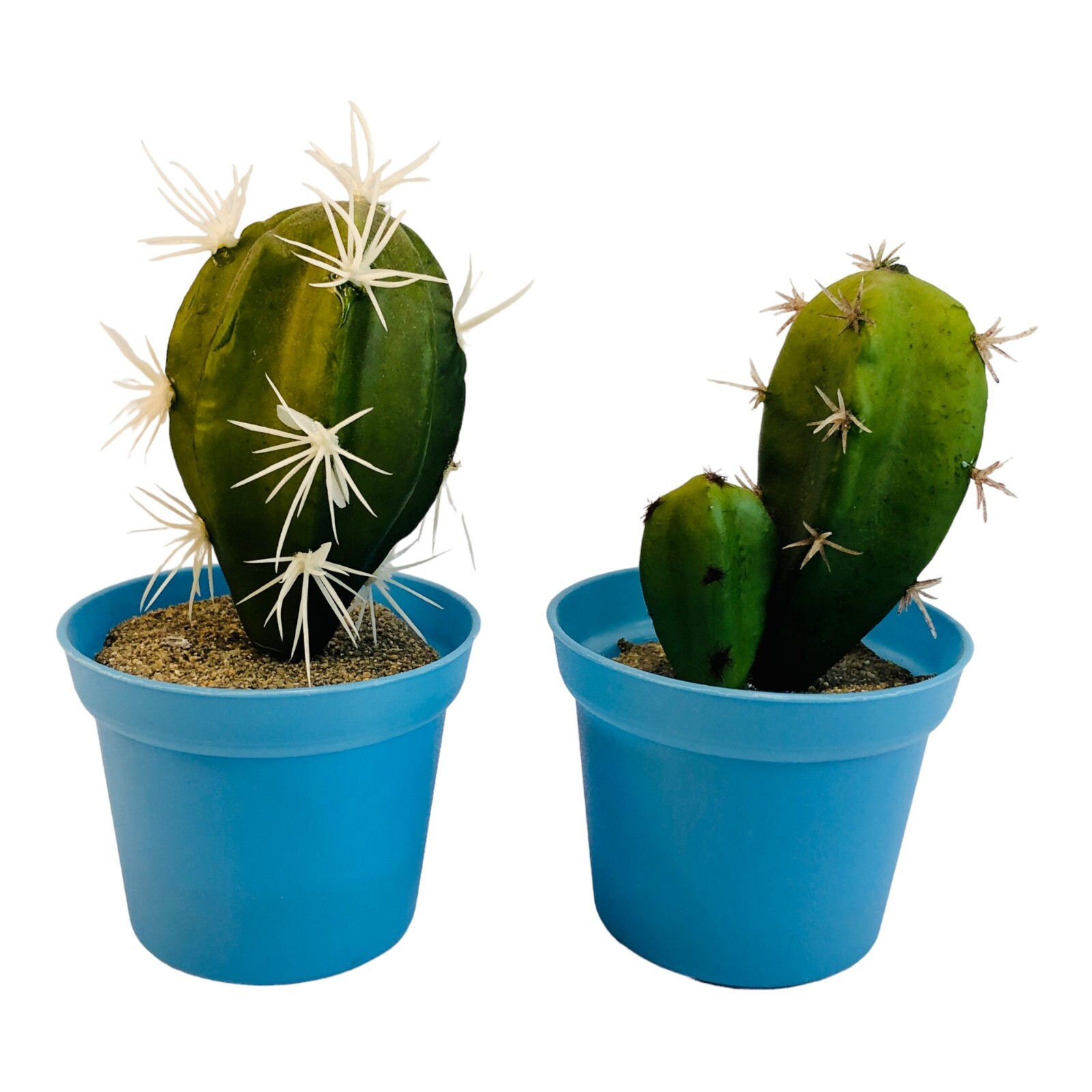 4.5″ Foam Cactus-Set of Two