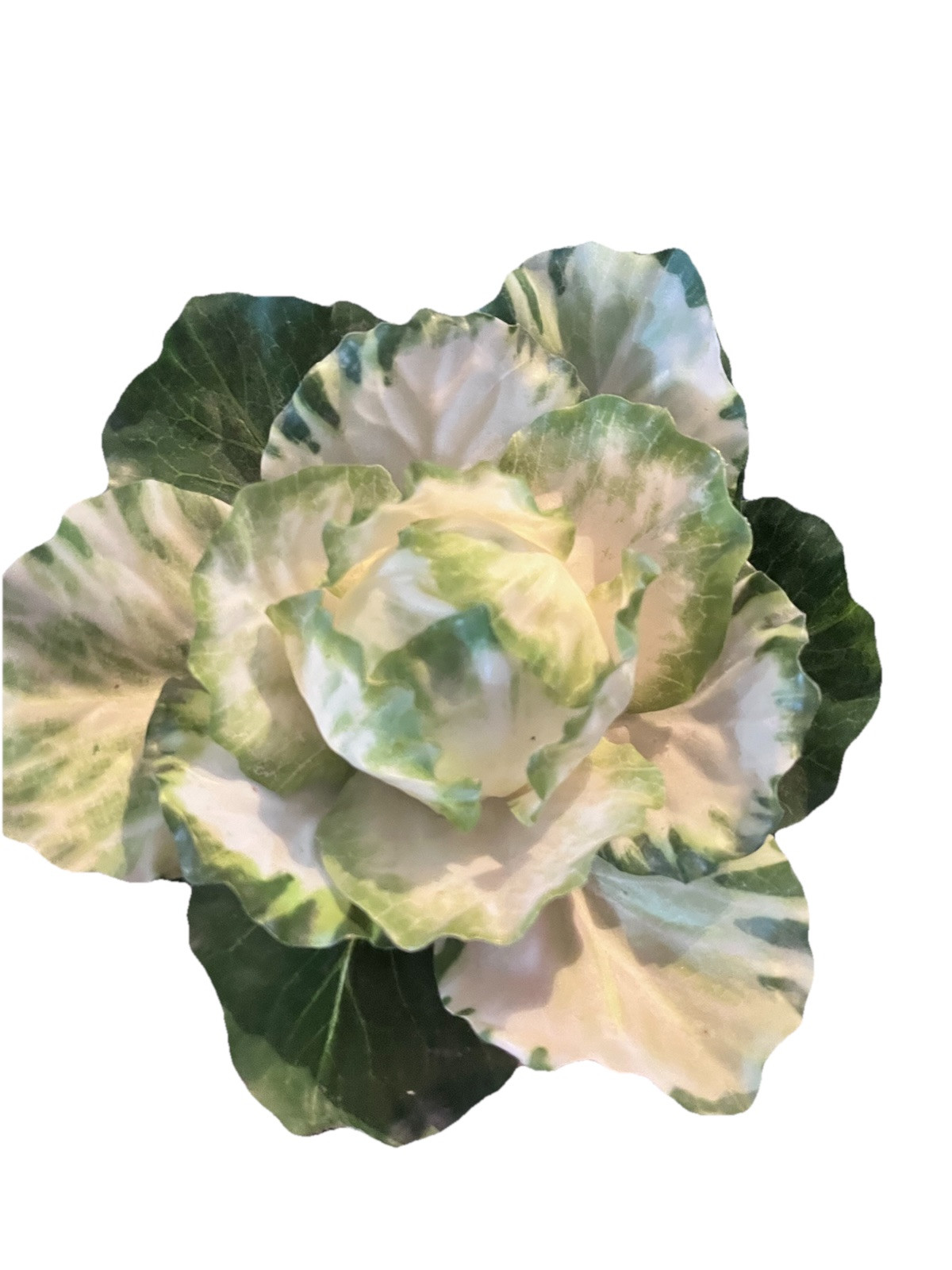 Realistic Potted Cabbage Plastic Ceramic Pot Garden Spring Easter 7inch Green