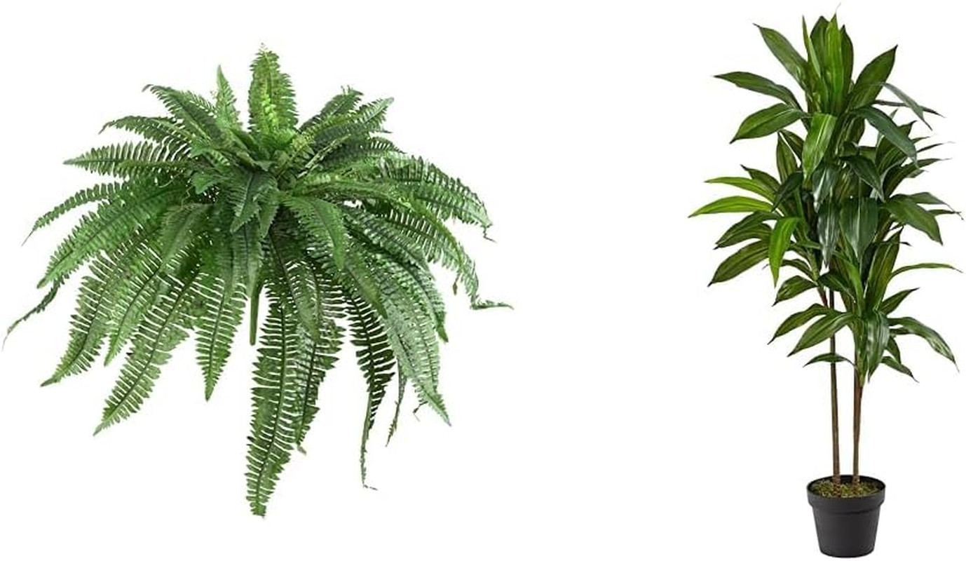 Set of 2 48″ Artificial Boston Ferns & 4Ft Dracaena Plant for Home Décor