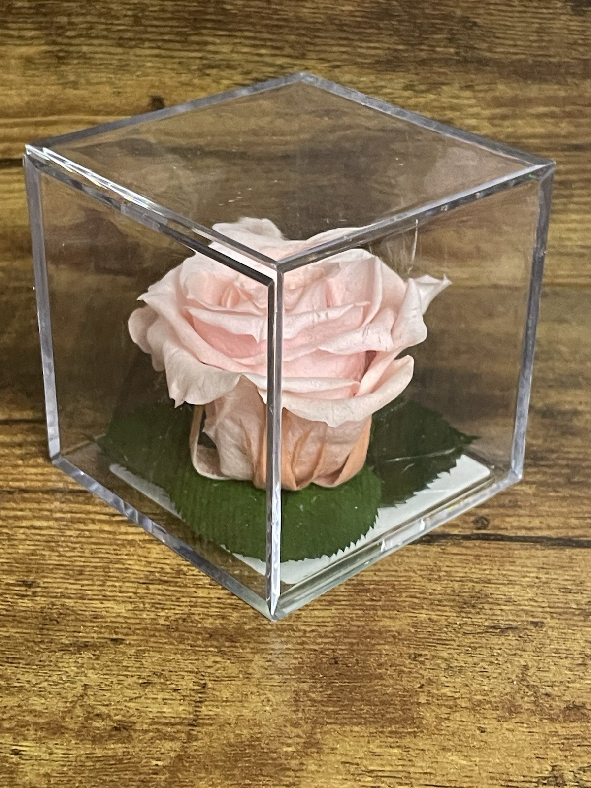Verdissimo Preserved Rose Head in a Clear Acrylic Cube Light Pink Standard Size
