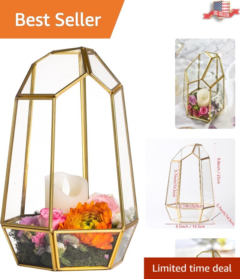Artisan Gold Geometric Glass Terrarium – Irregular Succulent Planter 6.5×5.7 in