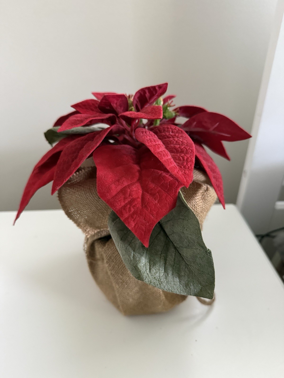 Pottery Barn Faux Burlap Wrapped Poinsettia 8 “ Red Velvet Leaves 4 “ Pot