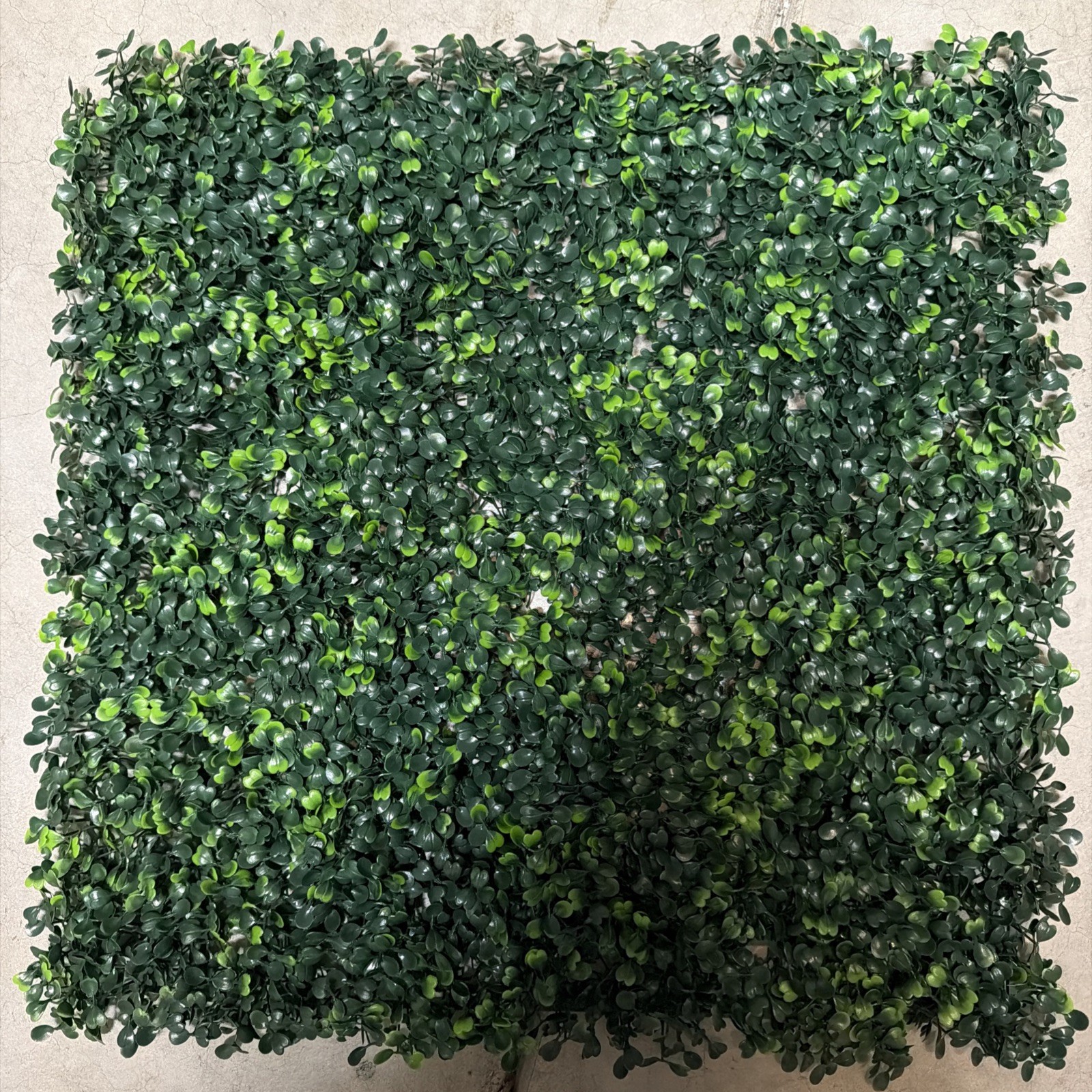 24Pcs Artifical Boxwood Panels (Open – Box / New)