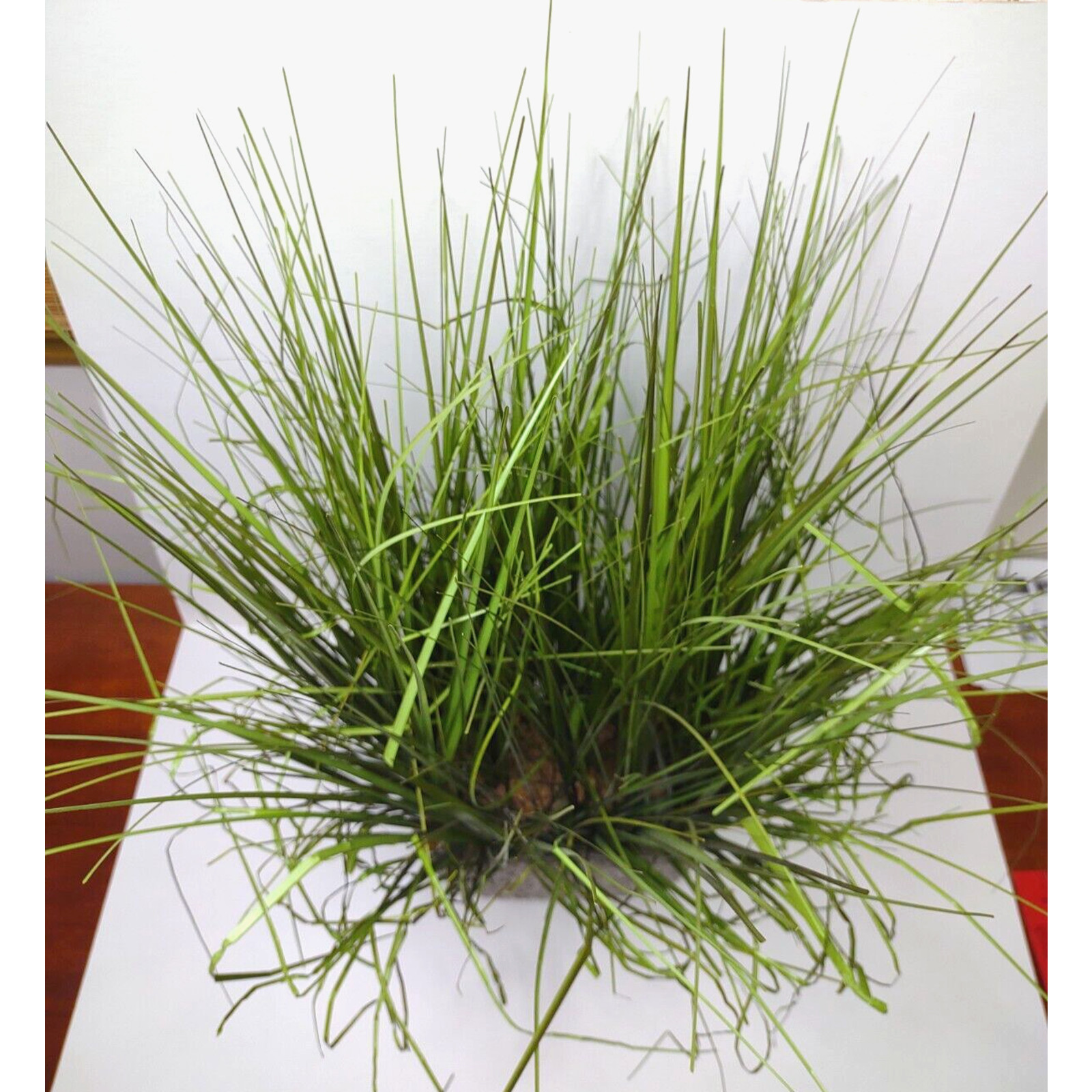 Faux Grass Center Piece Arrangement Rock Filled Cast Textured Vase 24” Tall